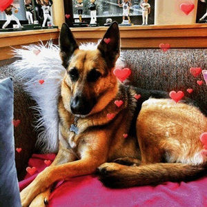 Meet your Posher, Michael